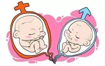 爱心同性供卵咨询怎么收费